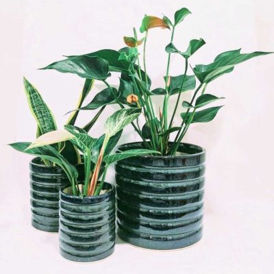 1e6b6b4f-664a-4973-9c2a-a8f123ad3b66 (1)