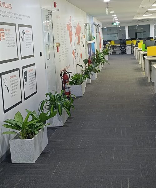 22a66cd4-31b4-4c9f-bce9-32324c204091