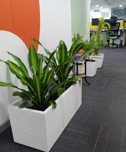 259ec2e9-acd4-47d1-b967-52798058d30a