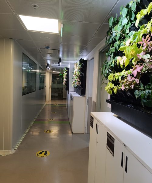 490c55e4-0053-4a15-ae72-a15b40299d98