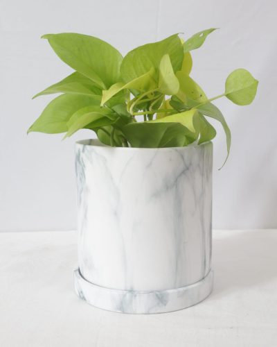 5018ea3b-f101-4407-bbb0-49c6f503124f