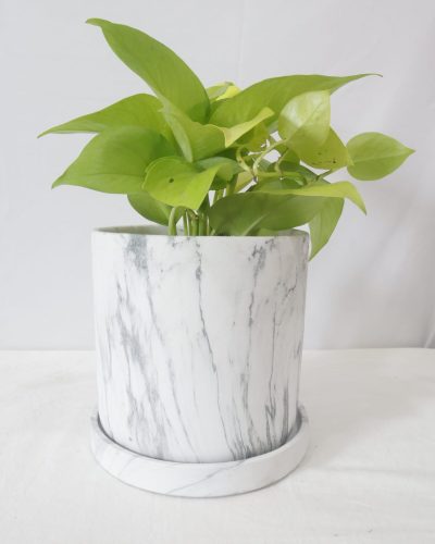 517a28a4-f78b-4f93-902b-e0e4625ae710