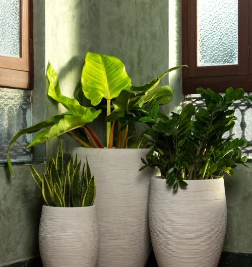 887DA674-3DEB-49E4-B908-476EB67D8B9B