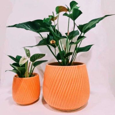 a43bf208-27ee-4d05-90fc-01c3f8f168ab