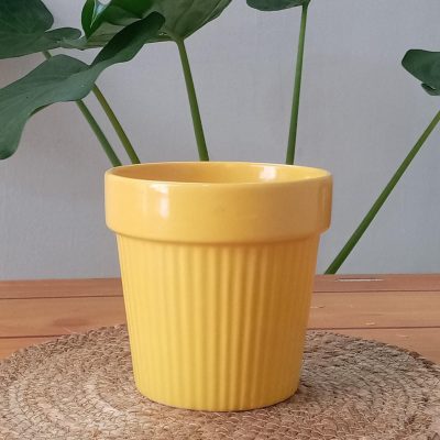 bbcb6ed6-e43b-4d6b-9497-96fbbb89c409