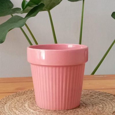 c9af69d0-e42a-4a1b-88aa-194dc0734949