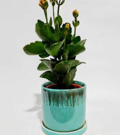 d3a4e3f6-602a-444c-b8e0-b8d9a536a892 (2)