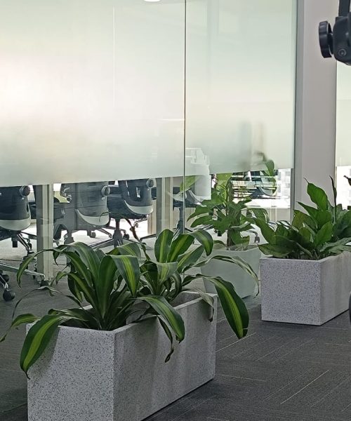 dca30c07-b89e-4b83-81c1-b0bfd3464669