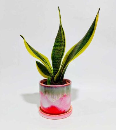 ea44f0ca-0d0a-4e21-b067-de799de1c553