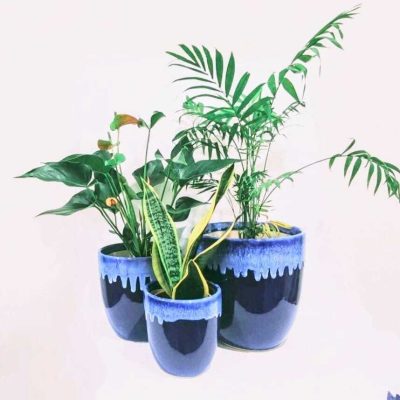 f14eb38b-6d83-4b5a-aadb-ae96f59c5764 (1)