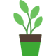 plant-pot (1)