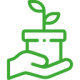 plant-pot
