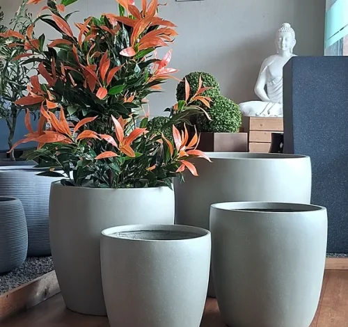 rs=w_600,h_800,cg_true